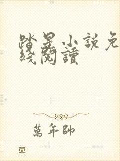 踏星小说免费在线阅读