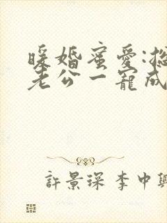 暖婚蜜爱:总裁老公一宠成瘾小说