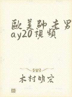 欧美帅老男人gay20视频