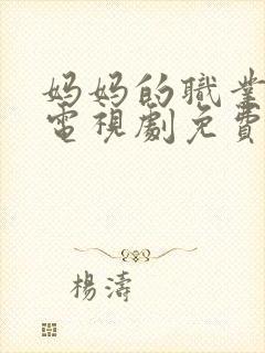 妈妈的职业韩国电视剧免费观看