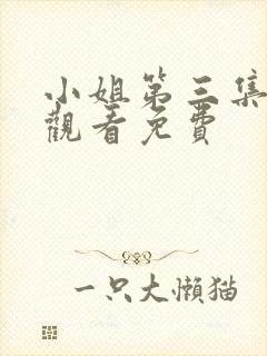 小姐第三集在线观看免费