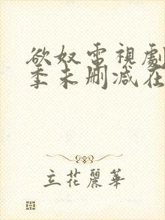 欲奴电视剧第二季未删减在线看