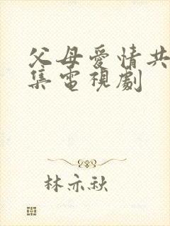 父母爱情共多少集电视剧封面