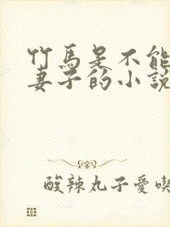 竹马是不能成为妻子的小说免费阅读