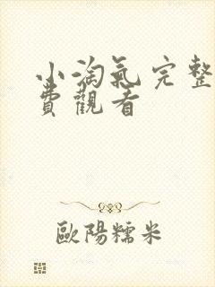 小淘气完整版免费观看