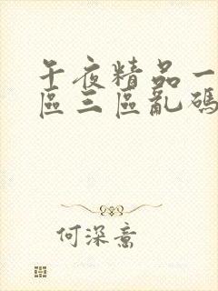 午夜精品一区二区三区乱码