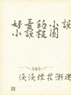 好看的小说言情小说校园