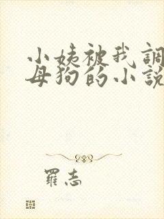 小姨被我调教成母狗的小说在线阅读封面