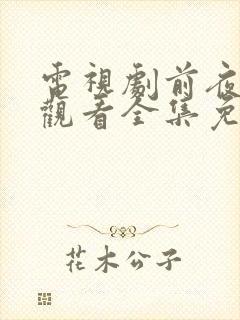 电视剧前夜在线观看全集免费高清