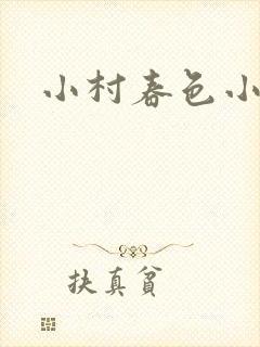 小村春色小说封面