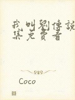 我叫刘传说40集免费看