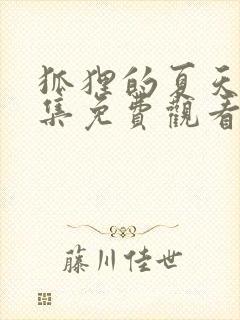 狐狸的夏天22集免费观看