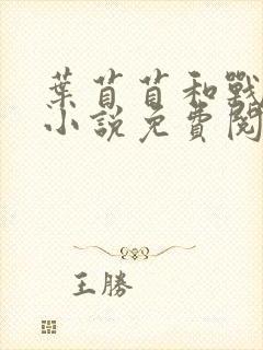 叶苜苜和战承胤小说免费阅读