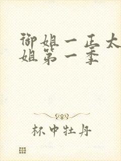 御姐一正太—御姐第一季封面