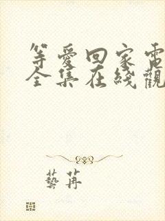 等爱回家电视剧全集在线观看免费