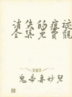 消失的痕迹在线全集免费观看完整版