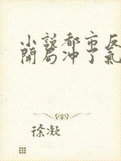 小说都市反派:开局冲了气运女主