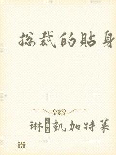 总裁的贴身女佣封面