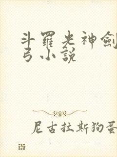 斗罗光神剑冰神弓小说封面