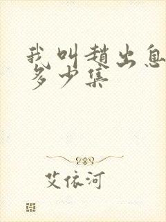 我叫赵出息总共多少集