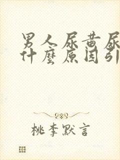 男人尿黄尿痛是什么原因引起的