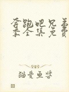 奔跑吧兄弟第二季全集免费完整版