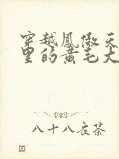 穿越凤傲天小说里的黄毛大反派也想要幸福