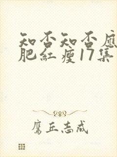 知否知否应是绿肥红瘦17集