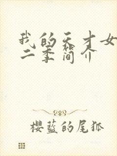 我的天才女友第二季简介