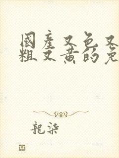 国产又色又爽又粗又黄的免费网站