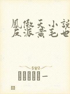 凤傲天小说里的反派黄毛也想幸福