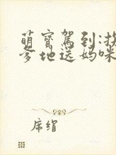 萌宝驾到:拐个爹地送妈咪好看封面