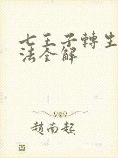 七王子转生之魔法全解