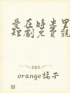 爱在时光里流转短剧免费观看