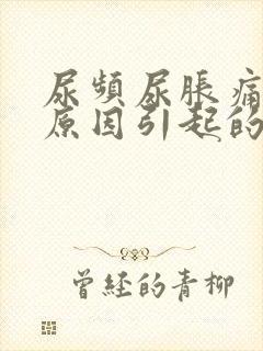 尿频尿胀痛什么原因引起的