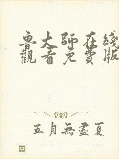 鲁大师在线高清观看免费版电视剧