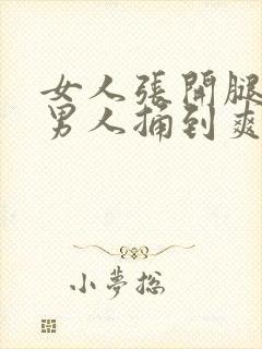 女人张开腿 让男人捅到爽