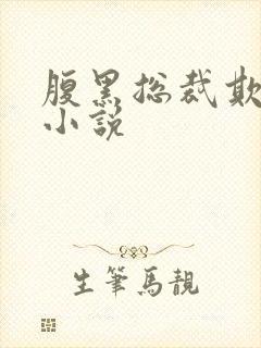 腹黑总裁欺上身小说