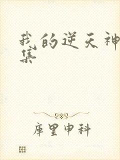 我的逆天神器全集