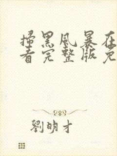 扫黑风暴在线观看完整版免费2021封面