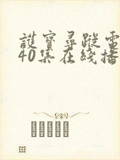 护宝寻踪电视剧40集在线播放