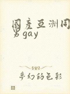 国产亚洲同性男男gay