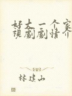 好大一个家 电视剧剧情介绍