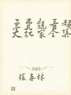 免费观看超时空大玩家全集