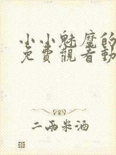 小小魅魔的仆人免费观看动漫版全集