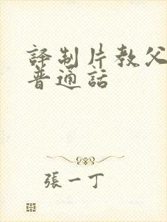 译制片教父国语普通话