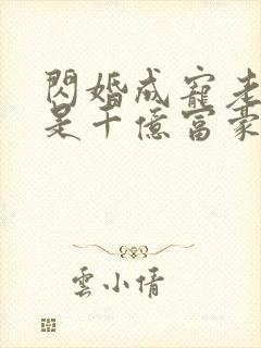 闪婚成宠老公竟是千亿富豪