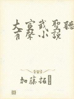 大宣武圣听书网有声小说