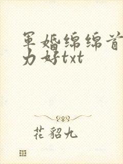 军婚绵绵首长体力好txt