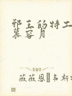 邪王的特工毒妃慕容月